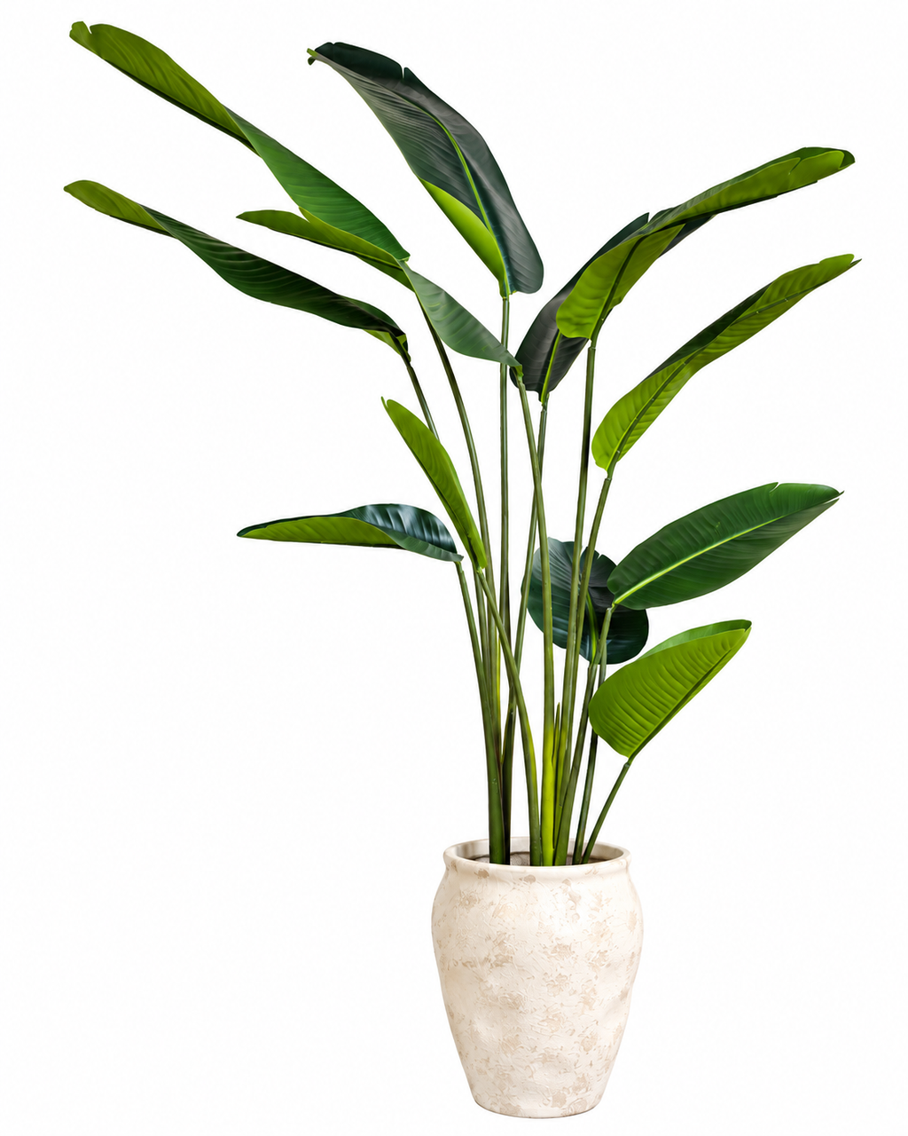 Tropical Traveller Palm Artificial Indoor Plant For Home ( 6.2 Feet ) (Natural Feel)