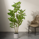Toon Tropic Delight  Artificial Plant