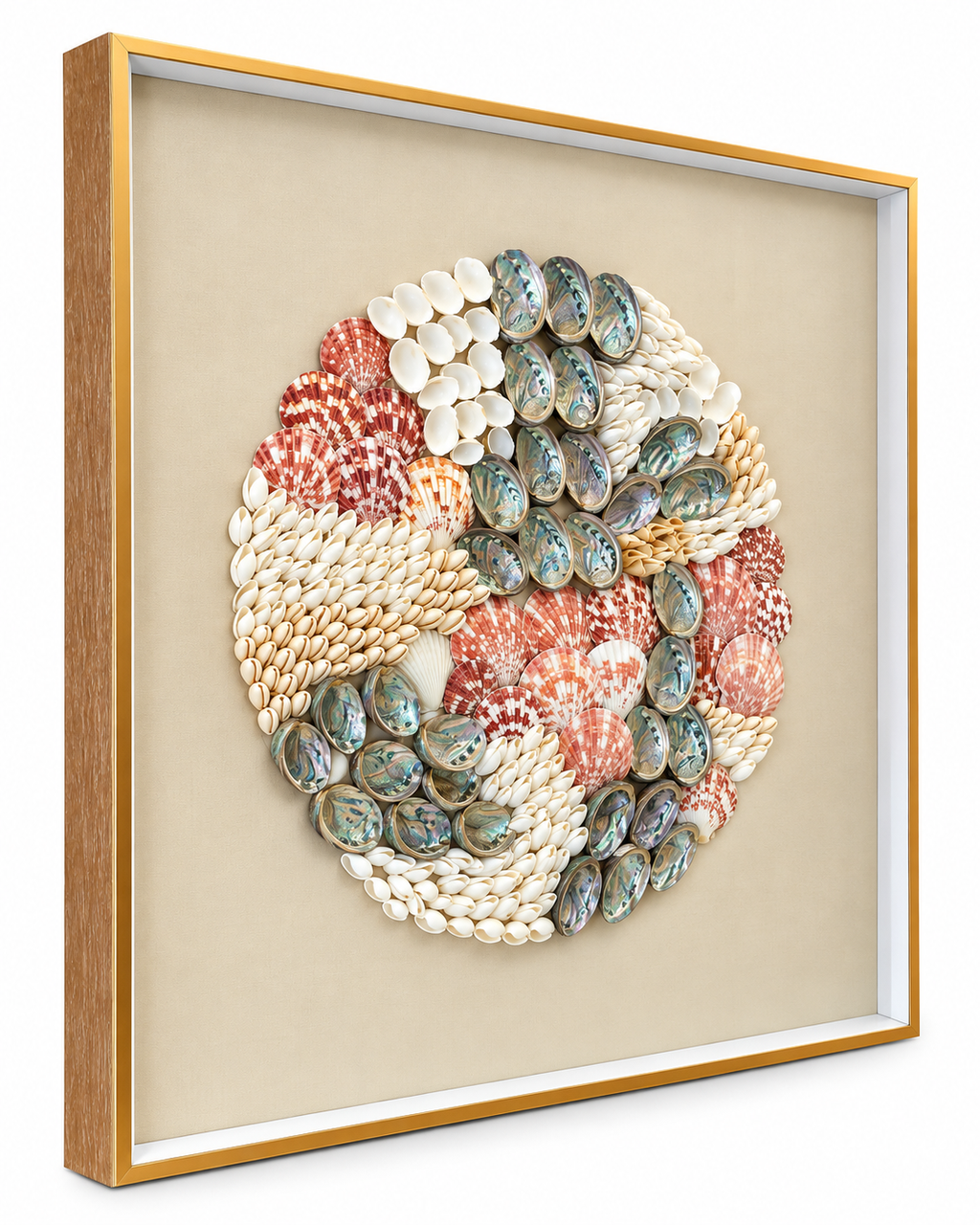 Ocean Ensemble Shadow Box Home Decoration Item