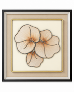 Grace in Bloom & Petals in Motion Shadow Box for Wall Decoration & Wall Art - Set of 2
