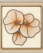 Grace in Bloom & Petals in Motion Shadow Box for Wall Decoration & Wall Art - Set of 2