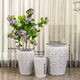 Whirlwind Flower Indoor Planters For Home - Set of 3
