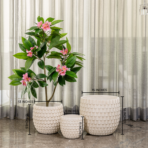 Petal Shield Indoor Planters For Home - Set of 3