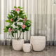 Petal Shield Indoor Planters For Home - Set of 3