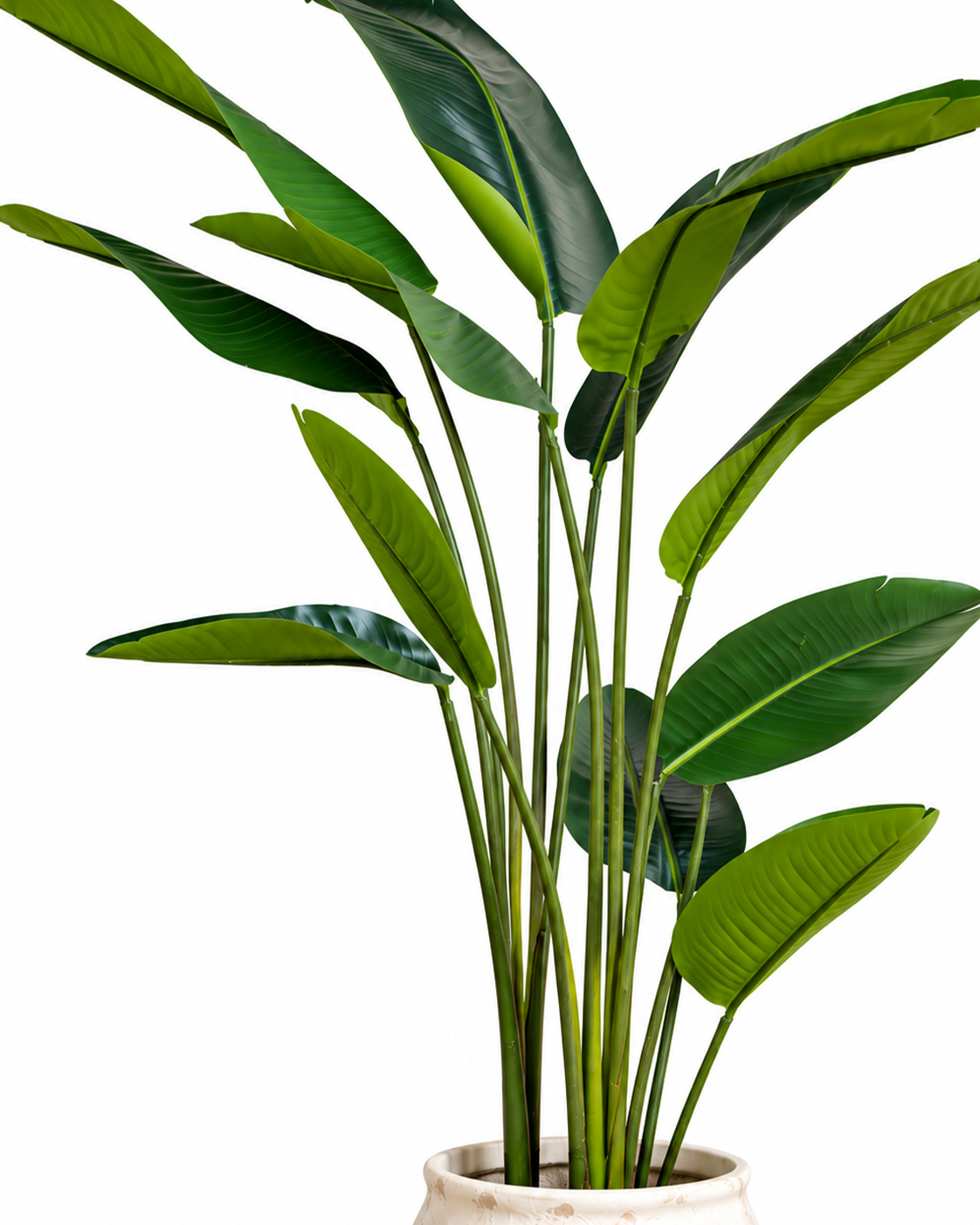 Tropical Traveller Palm Artificial Indoor Plant For Home ( 6.2 Feet ) (Natural Feel)