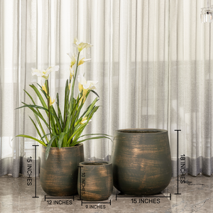 Holly Verdant Indoor Planters For Home - Set of 3