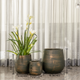 Holly Verdant Indoor Planters For Home - Set of 3