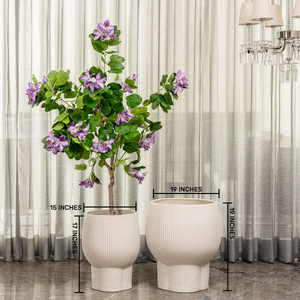 Cypress Echo Indoor Planters For Home - Set of 3