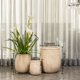 Eden Whisper Indoor Planters For Home - Set of 3