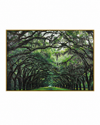Pathway to Serenity by Top American &  European contemporary Artists 100% Hand Wall Painting For Home (With Outer Floater Frame frame) ( 35.5 x 53 Inches )