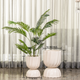 Elegant Swirl Indoor Planters For Home - Set of 2 (White)