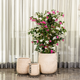 Leaf Carve  Indoor Planters For Home - Set of 3