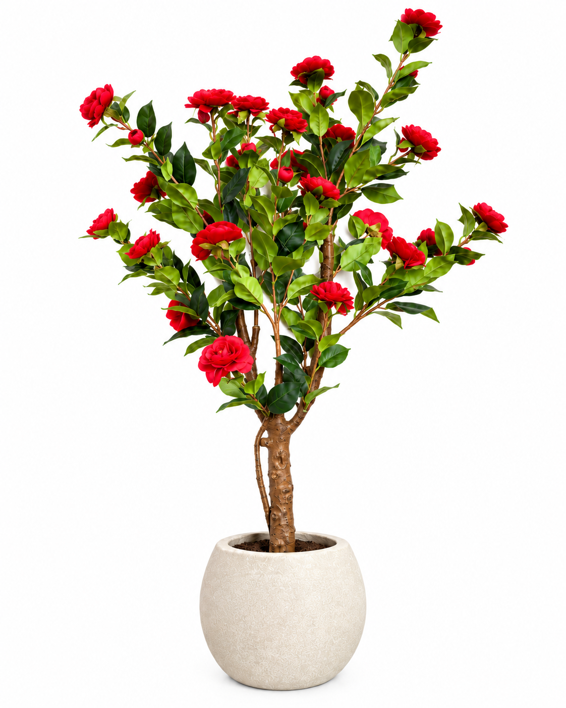 Royal Camellia Artificial Indoor Plant For Home ( 4.3 Feet ) (Natural Feel)