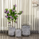 Curved Foliage Indoor Planters For Home - Set of 3