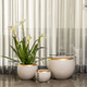 Gilded Haven Indoor Planters For Home - Set of 3