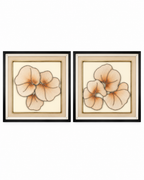 Grace in Bloom & Petals in Motion Shadow Box for Wall Decoration & Wall Art - Set of 2