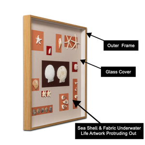 Ocean Treasures  Shadow Box Wall Decoration Piece