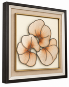 Grace in Bloom Wall Decor Shadow Box & Item for Home Decoration