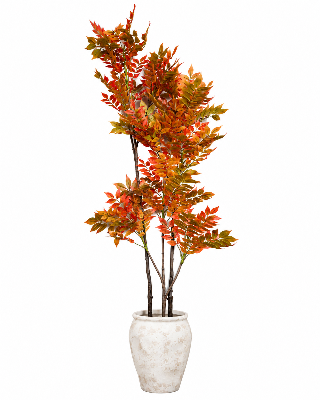 Autumn Lacquer Artificial Indoor Plant For Home ( 5.6 Feet ) (Natural Feel)