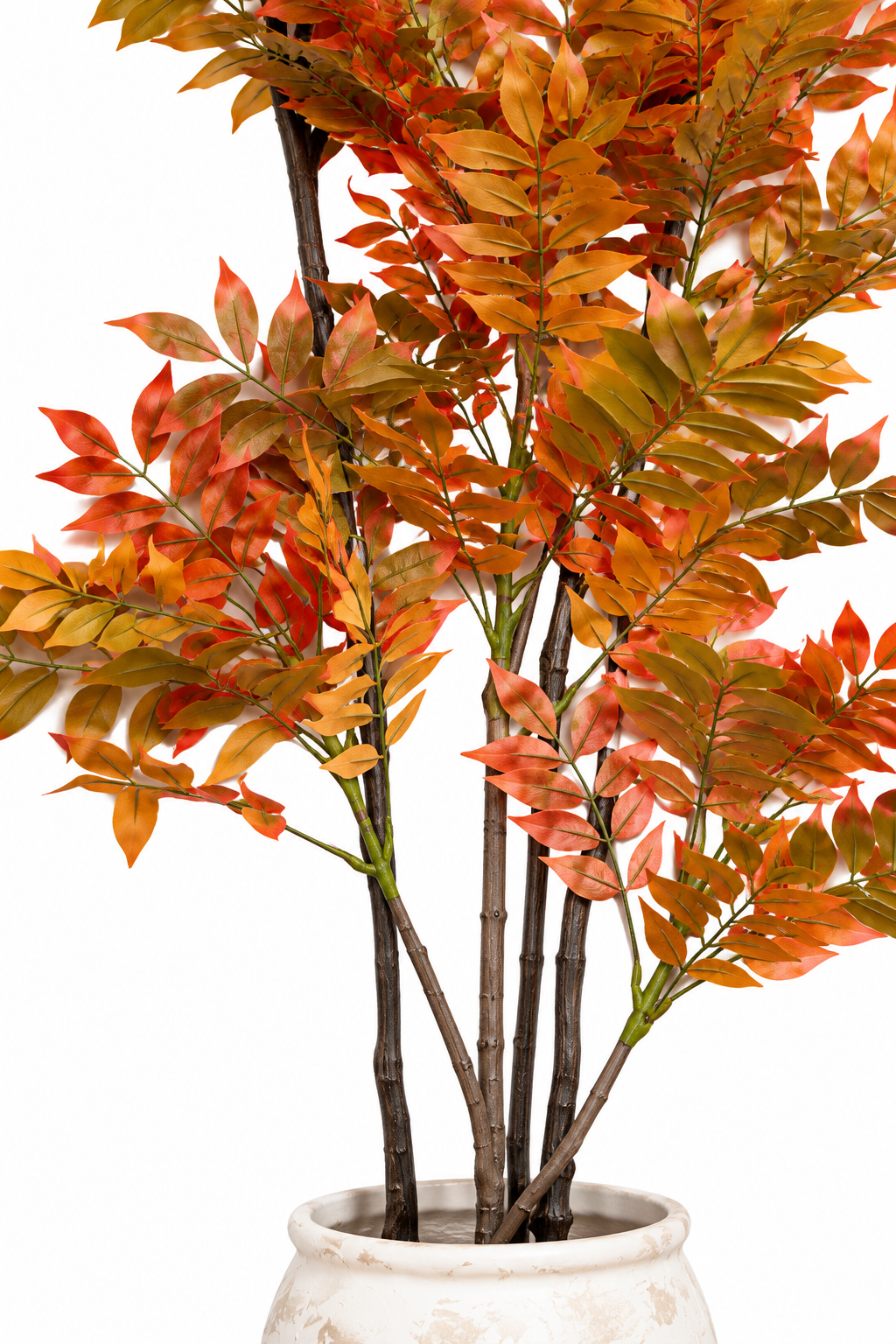 Autumn Lacquer Artificial Indoor Plant For Home ( 5.6 Feet ) (Natural Feel)
