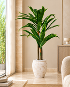 Evergreen Yemen Artificial Indoor Plant For Home ( 6.2 Feet ) (Natural Feel)
