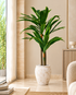 Evergreen Yemen Artificial Indoor Plant For Home ( 6.2 Feet ) (Natural Feel)