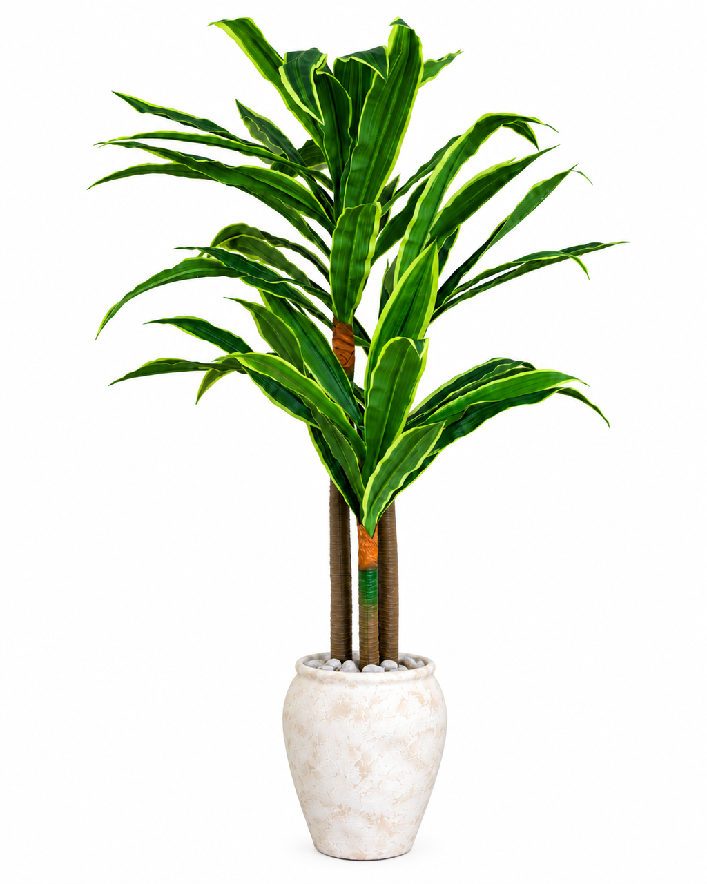 Evergreen Yemen Artificial Indoor Plant For Home ( 6.2 Feet ) (Natural Feel)