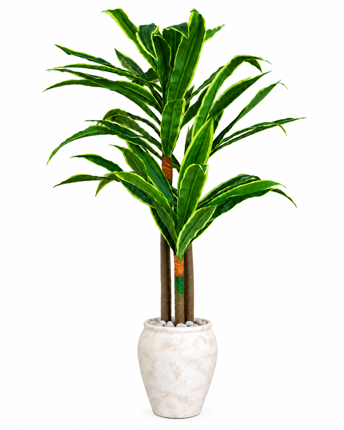 Evergreen Yemen Artificial Indoor Plant For Home ( 6.2 Feet ) (Natural Feel)