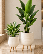 Verdant Charm Indoor Planters For Home