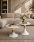 Luna Flare Coffee Table for Living Room - Set of 2