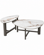 Meridian Luxe Coffee Table For Home and Item for Home Decoration