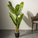 Banana Bliss Grove - 10 Leaf  Artificial Plant