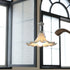 Lily Crest Ceiling light For Home & Item For Home Decoration