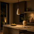 Vantix Pendant Light For Living Room & Home Decoration item