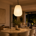 Zen Cocoon Pendant Light For Living Room & Home Decoration item - Big