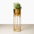 Dripping Luxury Metal Gold Planters - Medium
