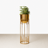Dripping Luxury Metal Gold Planters - Medium