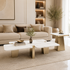Lucca Luxe Centre Table for Living Room (Stainless Steel)  - Set of 2
