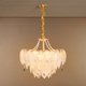 Shine of Galaxy Chandelier Light For Living Room & Item for Home Decoration