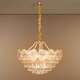 Dream of Luminance Chandelier Light For Home & Item for Home Decoration