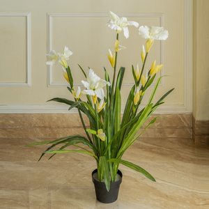Snowy Iris Mirage Artificial Flower For Living Room - 3.5 Feet