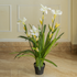 Snowy Iris Mirage Artificial Flower For Living Room - 3.5 Feet