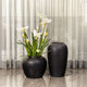 Monochrome Bloom Planter Indoor Planters For Home - Set of 2