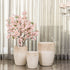 Frosted Flora Indoor Planters For Home - Set of 3