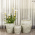 Natural Echo Indoor Planters For Home - Set of 3