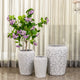 Whirlwind Flower Indoor Planters For Home - Set of 3