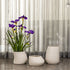 Flowing Form Indoor Planters For Home - Set of 3