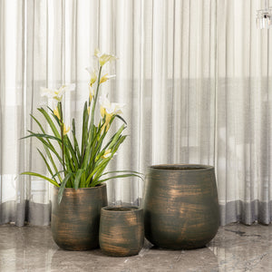 Holly Verdant Indoor Planters For Home - Set of 3