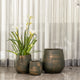 Holly Verdant Indoor Planters For Home - Set of 3