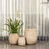 Eden Whisper Indoor Planters For Home - Set of 3